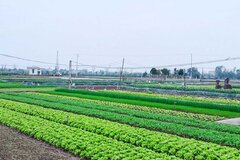 Quy định tính tiền sử dụng đất đối với hộ gia đình, cá nhân khi chuyển từ đất nông nghiệp sang đất ở năm 2026