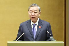 Vững bước dưới cờ Đảng