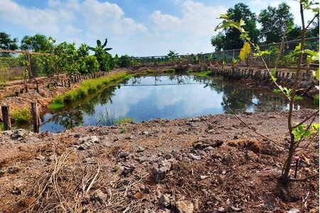 Chuyển một phần đất nông nghiệp sang đất ở trong hạn mức, tính tiền sử dụng đất như thế nào?