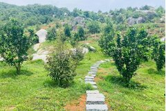 Nợ tiền sử dụng đất từ 20 năm trước, có phải xác định lại tiền sử dụng đất theo giá hiện hành?