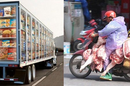Vi phạm khi vận chuyển động vật sống, thực phẩm tươi sống bị xử lý thế nào?