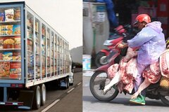 Vi phạm khi vận chuyển động vật sống, thực phẩm tươi sống bị xử lý thế nào?