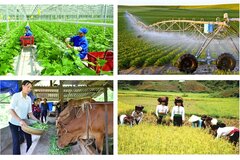 Đề xuất nâng mức hỗ trợ bảo hiểm nông nghiệp