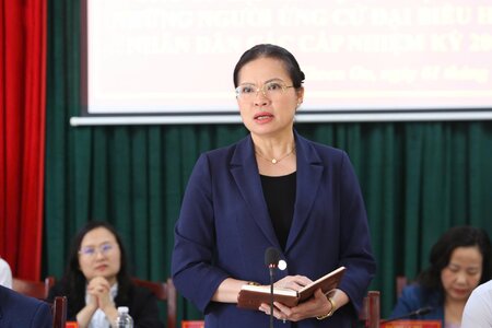 Nỗ lực cao nhất hoàn thành trách nhiệm của người đại biểu dân cử