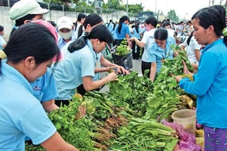 Từ năm 2028, mức sống tối thiểu của người lao động được công bố hằng năm