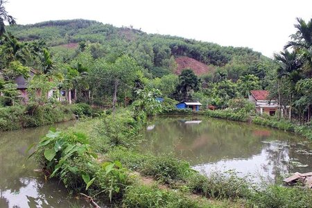 Đất ao không nằm trong cùng thửa đất ở, khi chuyển mục đích sử dụng có được miễn, giảm tiền sử dụng đất?