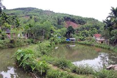 Đất ao không nằm trong cùng thửa đất ở, khi chuyển mục đích sử dụng có được miễn, giảm tiền sử dụng đất?