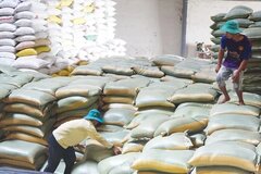 Ban hành Kế hoạch triển khai thi hành Luật Dự trữ quốc gia