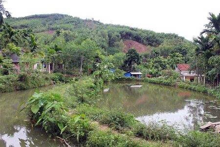 Chuyển đất ao sang đất ở có được miễn, giảm tiền sử dụng đất không?