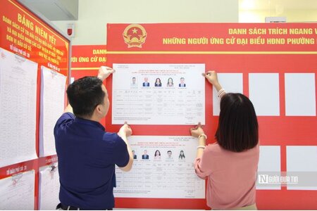 Trường hợp nào cử tri được nhờ người khác viết hộ phiếu, bỏ hộ phiếu bầu cử?