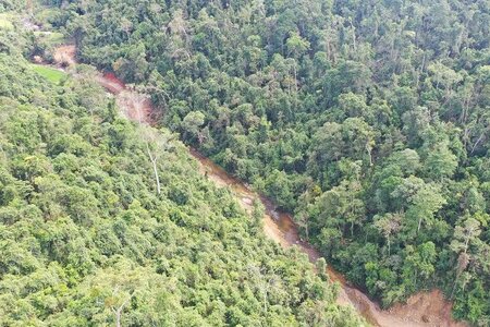 Đất rừng tự khai hoang vướng quy hoạch lâm nghiệp, có được cấp sổ đỏ?