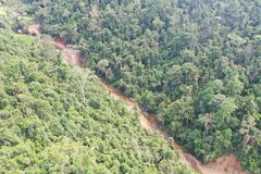 Đất rừng tự khai hoang vướng quy hoạch lâm nghiệp, có được cấp sổ đỏ?