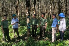 Cần thiết xây dựng Nghị định về kết hợp an ninh với kinh tế - xã hội và kinh tế - xã hội với an ninh