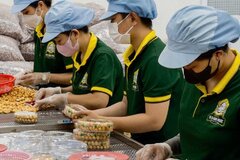 Cách xác định sản phẩm ‘chỉ qua sơ chế thông thường’ để tính thuế GTGT