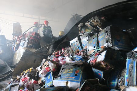 Bình Thuận: Cháy kho lạnh thiêu rụi 300 tấn thanh long