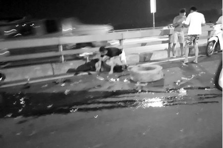 Khắc phục sự cố nổ lốp trên cầu Nhật Tân, chủ xe bán tải bị tông chết