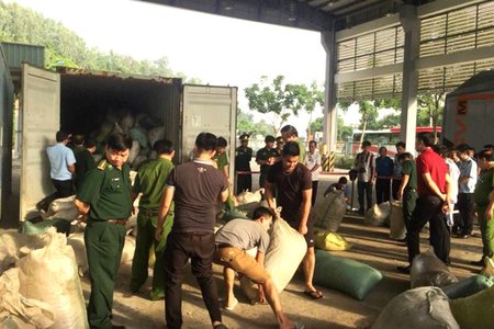 Quá trình phá án, bắt giữ  8 tấn ngà voi và vảy tê tê tại Đà Nẵng