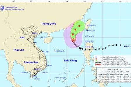 Tin mới về bão số 7 giật cấp 12 hoạt động trên biển Đông