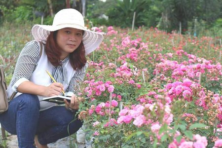 Trà hoa hồng nguyên bông 10 triệu/kg, cô chủ không dám uống nhiều