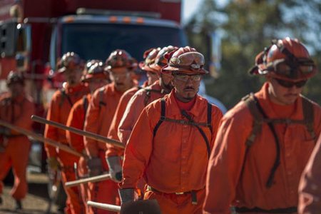 Cháy rừng ở California: Thuê tù nhân dập lửa, trả 1 USD mỗi giờ 