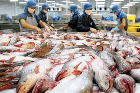 Mỹ trở lại là thị trường số một nhập khẩu cá tra của Việt Nam