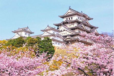 Du khách phải trả 1.000 yen 'thuế chia tay' khi đến Nhật Bản