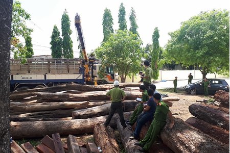 Bộ Công an vây bắt gỗ lậu cực lớn tại vườn Quốc gia Yok Đôn 