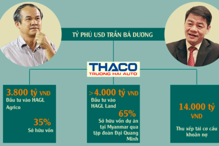 Kết hôn' với Thaco, bầu Đức tự tin rót thêm nghìn tỷ vào vườn chuối