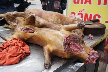 Muốn cấm ăn thịt chó thì phải được quy định trong văn bản luật 