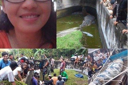 Cá sấu nhảy lên tường 2,5m, vồ chết nhà khoa học ở Indonesia