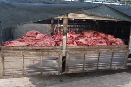 TP.HCM: Phát hiện hơn 1 tấn thịt lợn lở mồm long móng tại chợ đầu mối