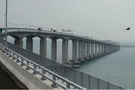 Kỹ sư Trung Quốc gian lận kiểm định cầu vượt biển dài nhất thế giới