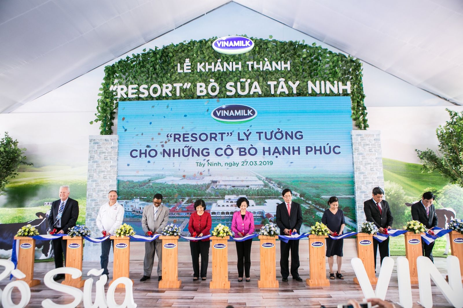 "Resort" bò sữa Vinamilk Tây Ninh ngôi nhà lý tưởng của cô bò hạnh phúc