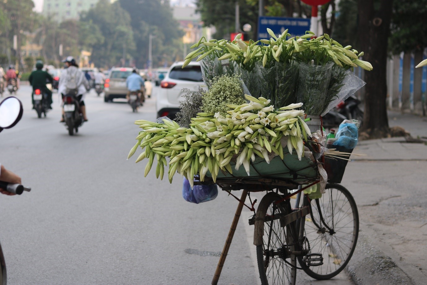 Hà Nội rực rỡ tháng Tư về