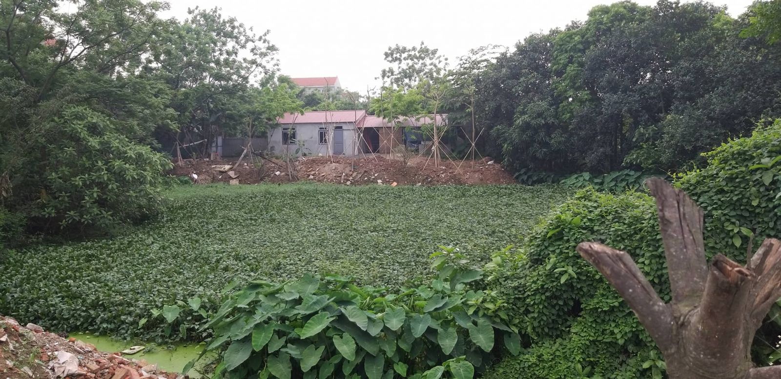 Thanh Oai, Hà Nội: Nhiều hộ dân tự ý lấn chiếm, san lấp đất ao trái phép