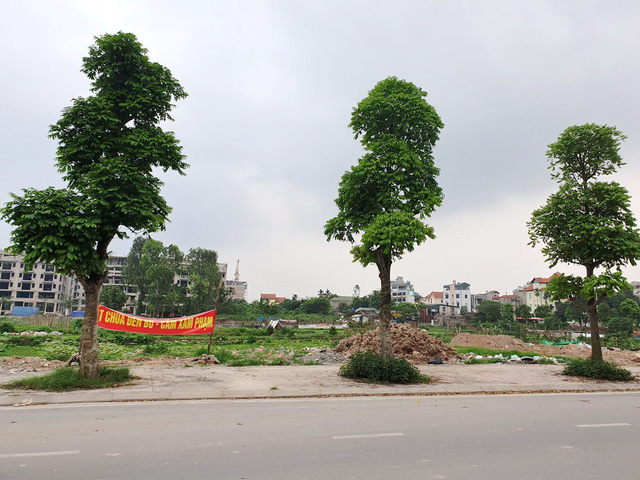 Dự án Trường chất lượng cao Mùa Xuân ở Long Biên, Hà Nội: Luật sư cho rằng văn bản trả lời của Sở TNMT không có căn cứ
