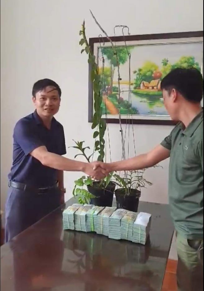 Hé lộ thân thế đại gia Hà Tĩnh chi tiền mua chậu lan giá 3,5 tỷ đồng
