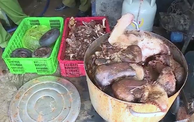 Phát hiện gần 1,5 tấn thịt lợn bốc mùi hôi thối ở Hậu Giang