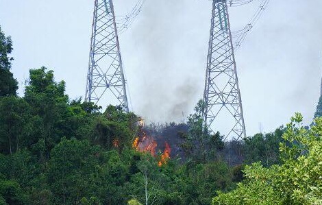 Cháy rừng liên tiếp diện rộng ở miền Trung đe dọa hệ thống điện 500KV Bắc Trung Nam