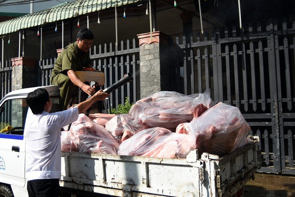 Hơn nửa tấn thịt lợn nhiễm tả lợn châu Phi vẫn có dấu kiểm dịch như thường