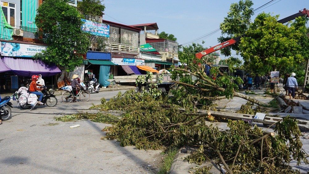 'Cuồng phong' hất tung 230 ngôi nhà, gãy cột điện và cây cối ở Thanh Hóa