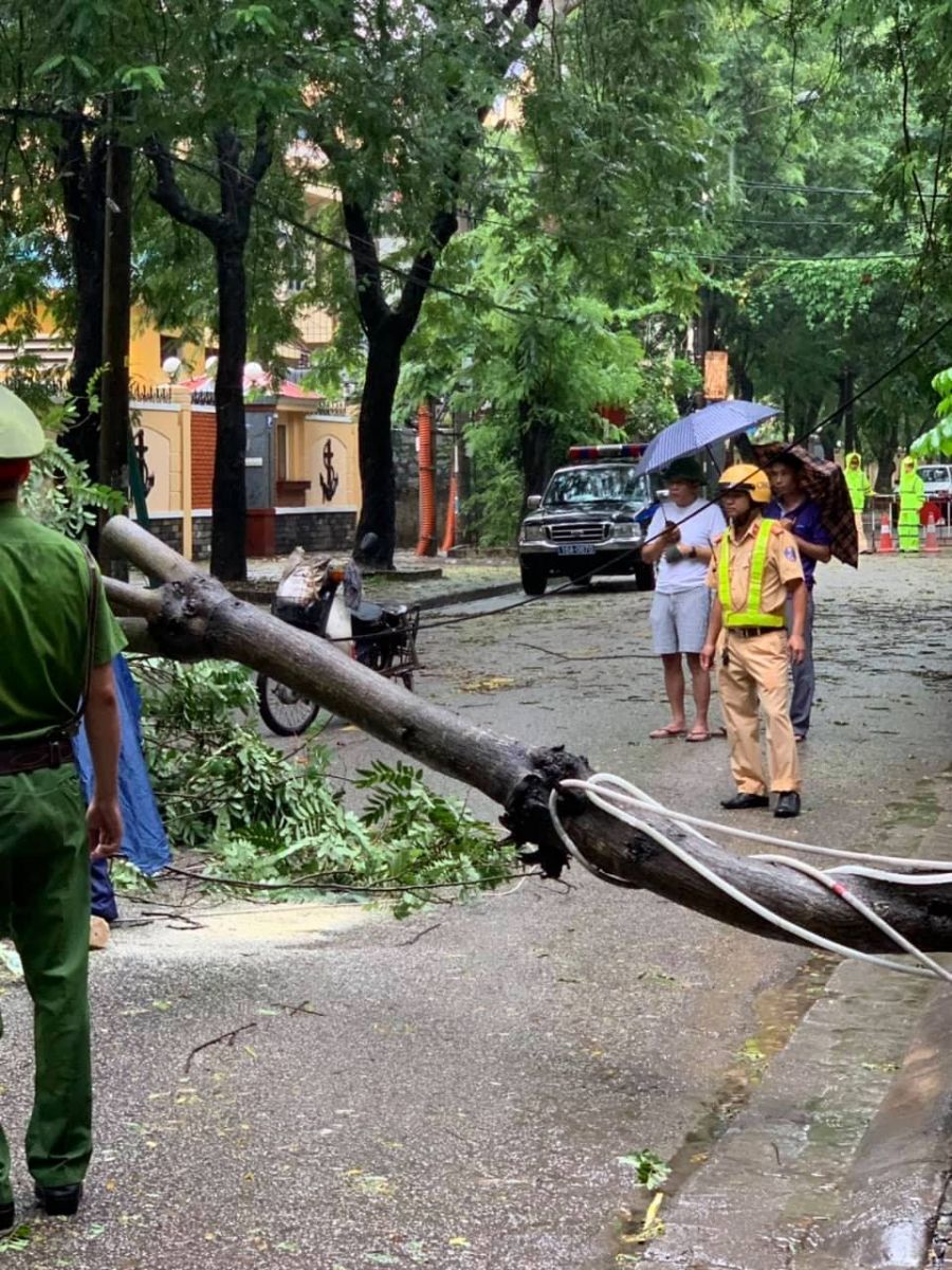 Bão số 3 đi qua, đường phố Hải Phòng ngập lụt, ngổn ngang cây xanh bị bật gốc