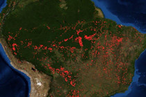 Cháy rừng Amazon - G7 họp khẩn, dọa bỏ hiệp định thương mại với Brazil