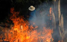 Cháy rừng Amazon - G7 họp khẩn, dọa bỏ hiệp định thương mại với Brazil