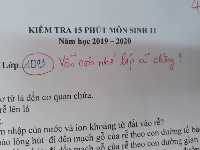 Cô giáo nhận được 50 nghìn like nhờ lời phê 'độc' vào bài kiểm tra