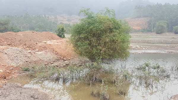 Vĩnh Phúc: Cần làm rõ vụ hành hung tập thể người tố cáo doanh nghiệp sai phạm