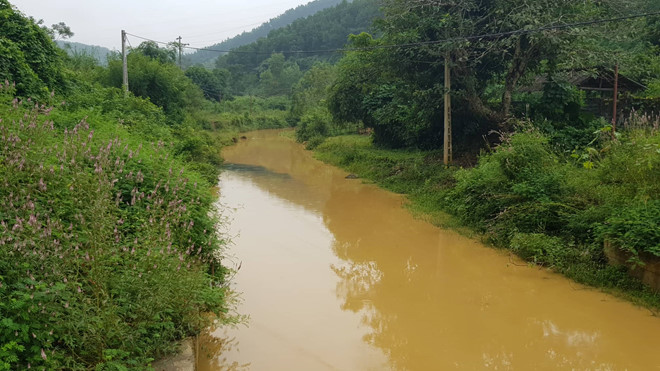 Tổng giám đốc Công ty nước sạch Sông Đà: 'Công ty chúng tôi cũng là nạn nhân'