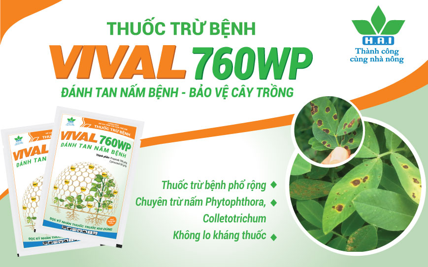 Nông dược HAI sắp ra mắt sản phẩm trừ nấm bệnh mới nhất