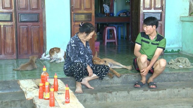 Bùng phát dịch sán chó mèo ở Khánh Hòa, người dân kéo nhau đi viện