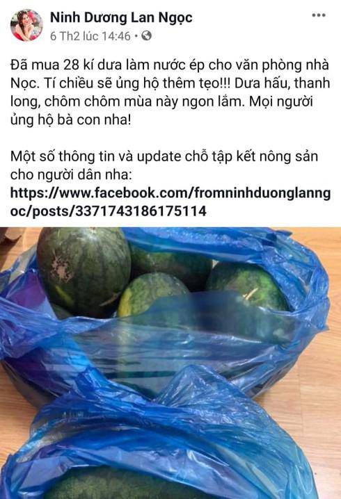 Sao Việt mua hàng trăm ký dưa hấu để ủng hộ người nông dân